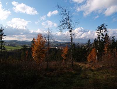Dachsberg2
