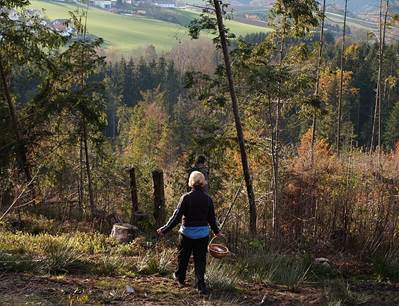 Dachsberg4